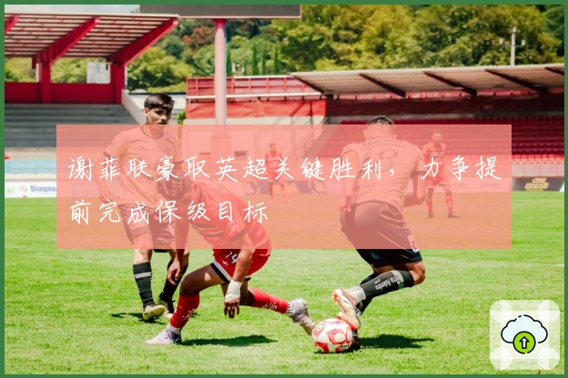 谢菲联豪取英超关键胜利，力争提前完成保级目标