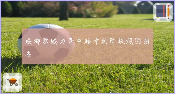 成都蓉城力争中超冲刺阶段稳固排名