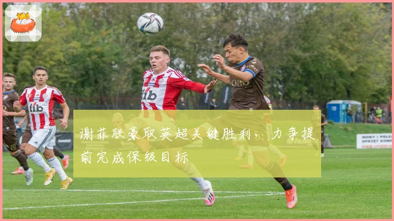 谢菲联豪取英超关键胜利，力争提前完成保级目标