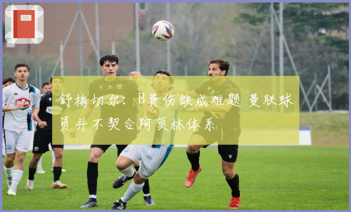 舒梅切尔：B费伤缺成难题 曼联球员并不契合阿莫林体系