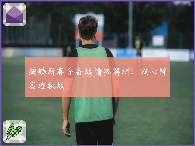 鹈鹕新赛季备战情况解析：核心阵容迎挑战